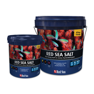 RED SEA Salt
